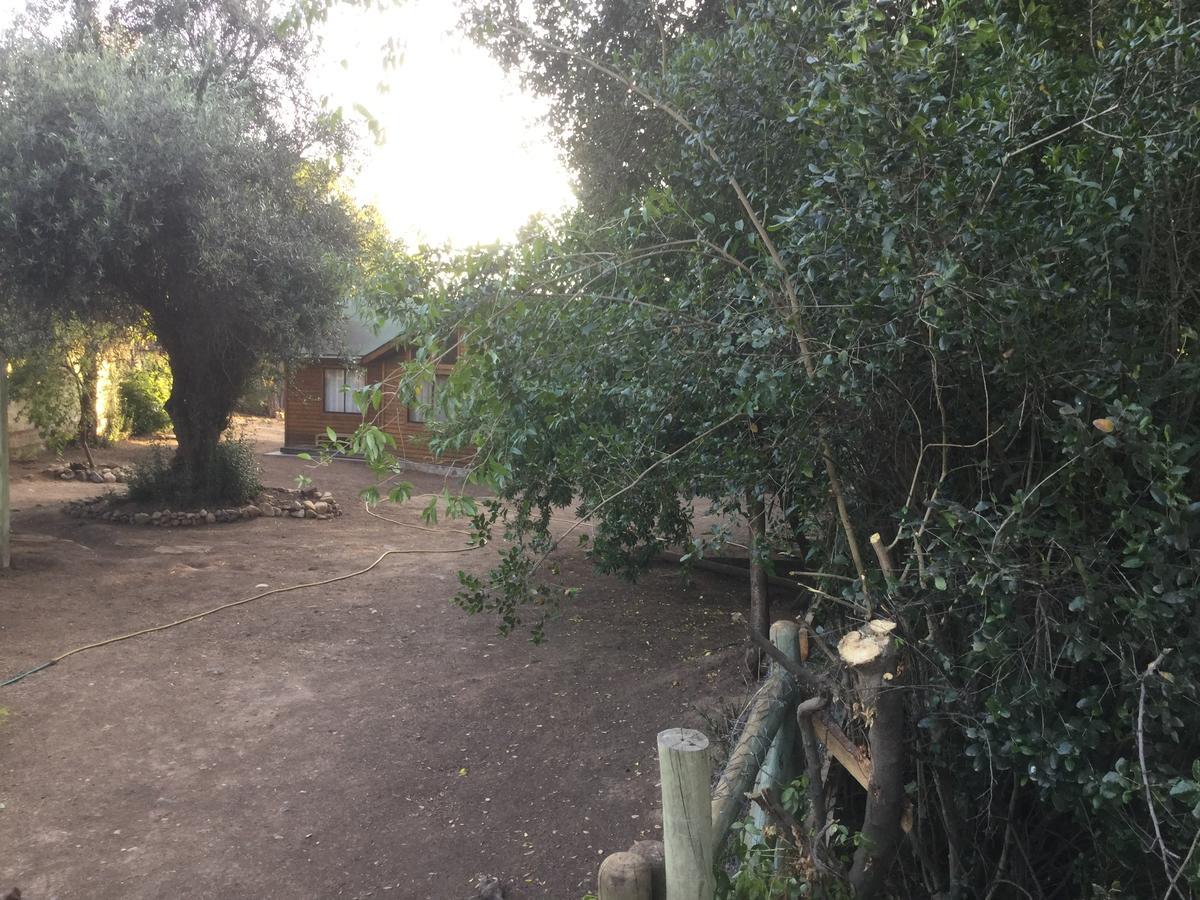 לינה וארוחת בוקר סנטיאגו La Quinta Bruja מראה חיצוני תמונה